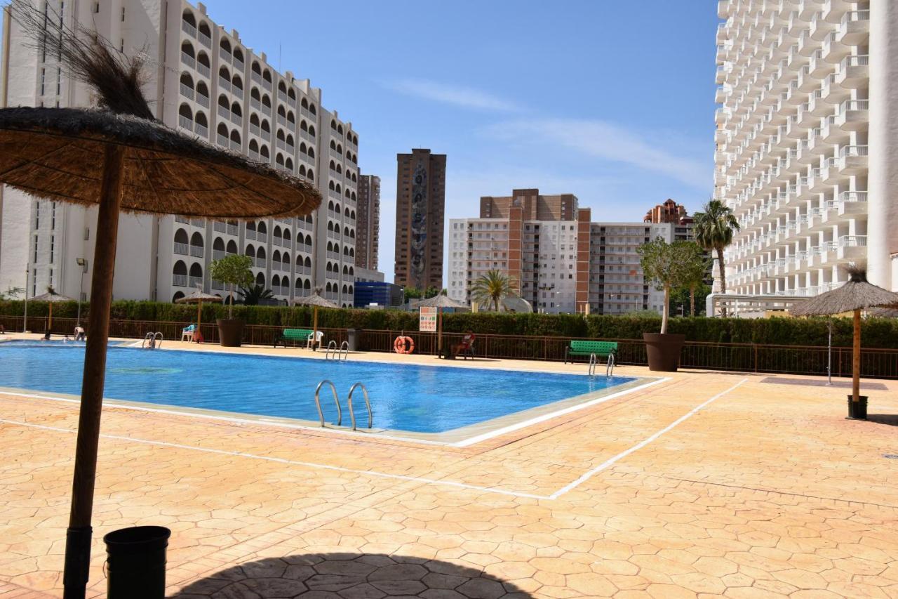 Acuarium 3 - Fincas Arena Benidorm Esterno foto
